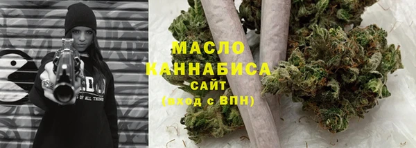индика Дрезна
